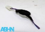 Genuine Land Rover Jaguar (2009 - 2024) Auto Dimming Glass Connector Cable Only - Image 4
